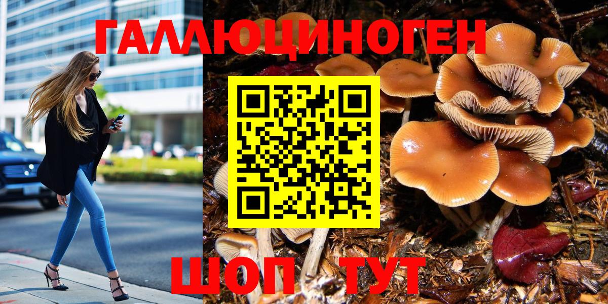 Псилоцибиновые грибы MAGIC MUSHROOMS  Вход с VPN  Тольятти 
